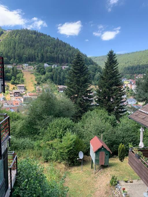 Gemuetliches Einzimmer-Apartment 33 Bad Wildbad Exterior foto